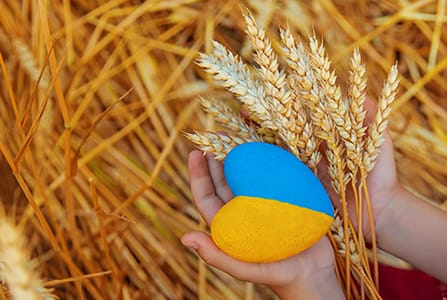 Finančná pomoc obyvateľom Ukrajiny